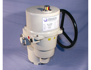 Worm Drive Electric Actuator