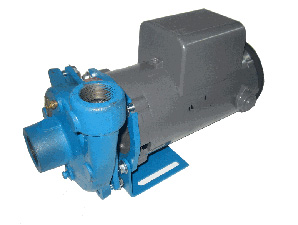 Image representing Burks Close-Coupled End Suction Centrifugal Pump