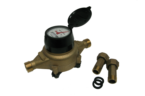 Neptune T-10 Water Meter