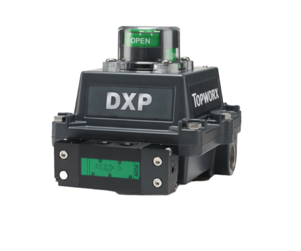 Image representing DXP